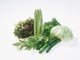 野菜いろいろ