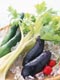 野菜いろいろ