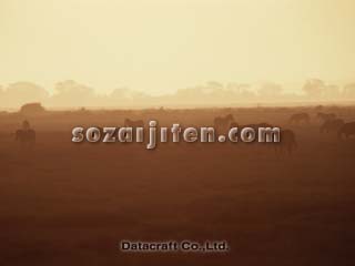 �O�����g�V�}�E�}