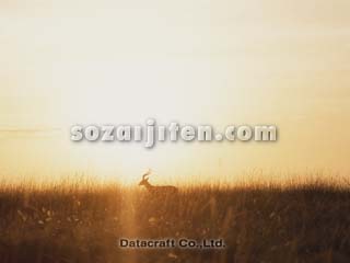 �C���p��