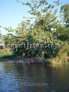 �g�����T�b�v��