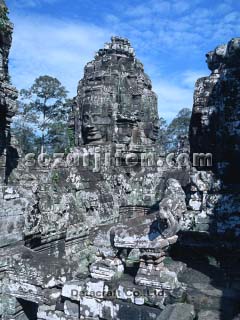 �o�C�������@