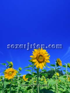 �q�}����