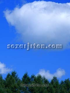 �X��