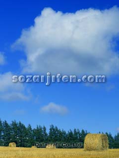 �q�����[��