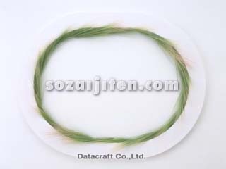 �A���̃t���[��