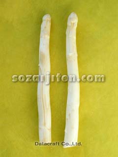 �z���C�g�A�X�p���K�X