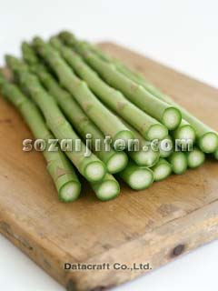 �O���[���A�X�p���K�X