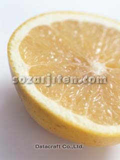 �O���[�v�t���[�c