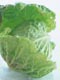 サボイキャベツ