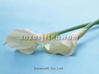 �J���[