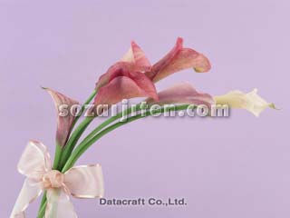 �J���[