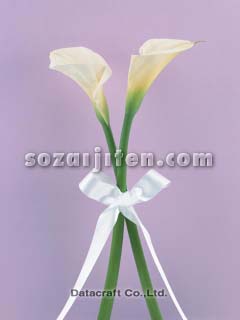 �J���[