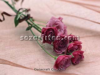 �o��