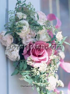 �E�G���J���t�����[