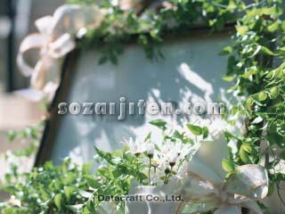 �E�G���J���{�[�h