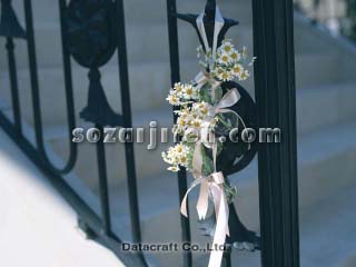 �E�G���J���t�����[