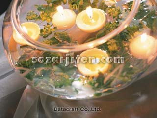 �t���[�e�B���O�L�����h��