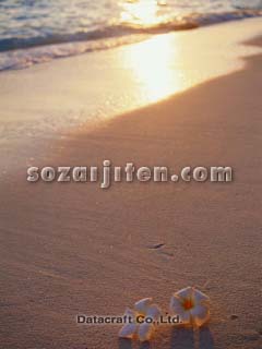 �g�ł��ۂ̉�