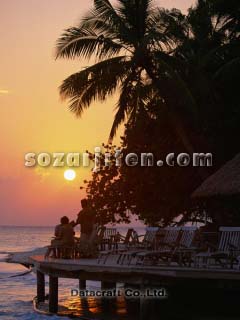�[�Ă�