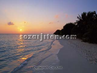 �g�ł���