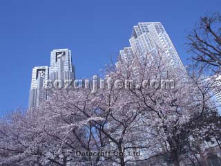 �����s��