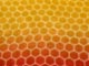 蜂の巣構造（CG）