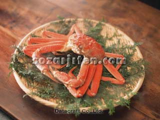 �Y���C�K�j