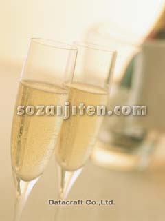 �V�����p��
