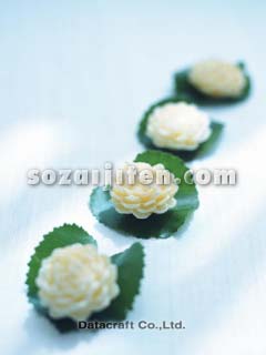 �L�����h��
