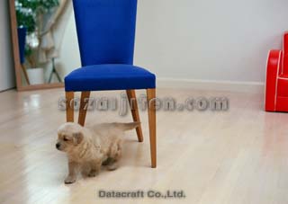 �S�[���f�����g���[�o�[