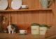 日本猫