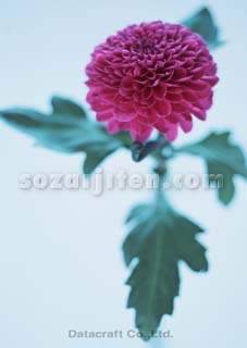 �L�N