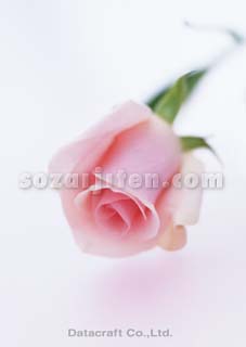 �o��