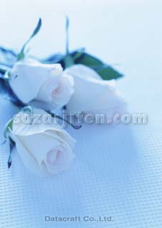 �o��
