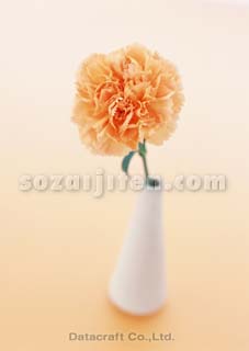 �J�[�l�[�V����