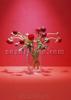 ���i���L�����X