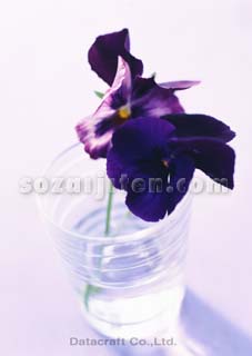 �p���W�[