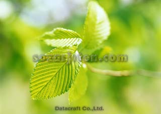 �t