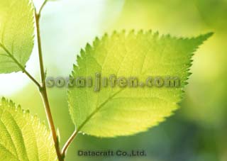 �t