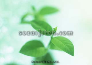 �t
