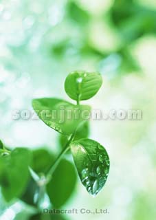 �t