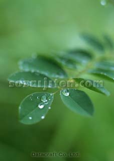 �t
