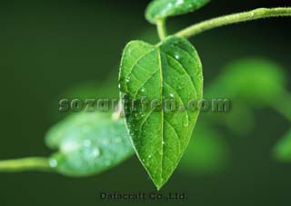 �t
