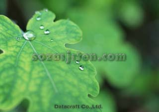 �t