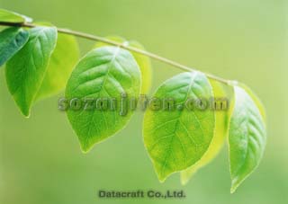�t