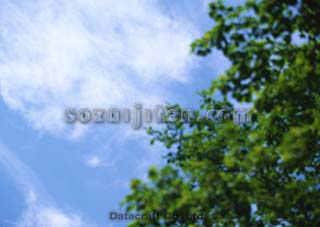 �V�΃C���[�W