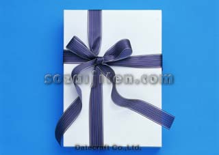 �v���[���g