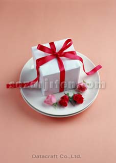 �v���[���g