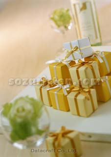 �v���[���g